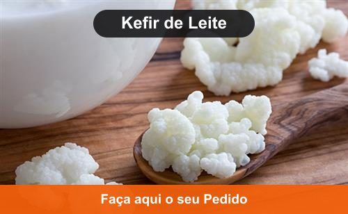 Kefir de Leite - Doação de Kefir em Itamari - BA