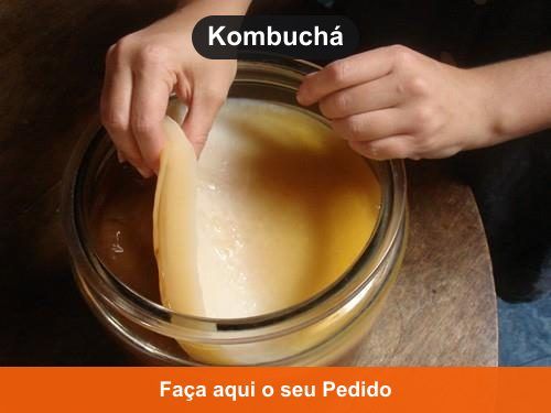 Kombuchá - Doação de Kefir em Itamari - BA
